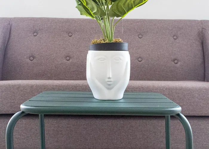 St Catarina Flats 公寓 波尔图