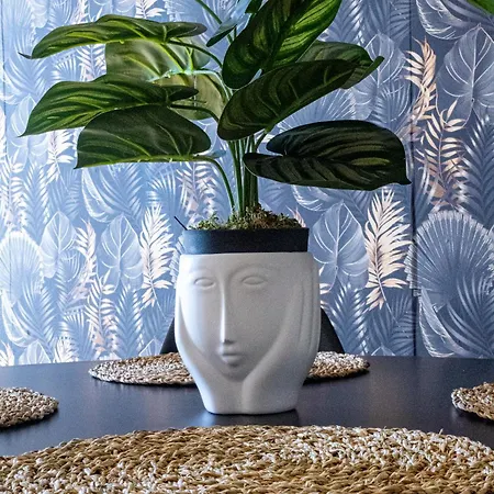 St Catarina Flats * 포르투